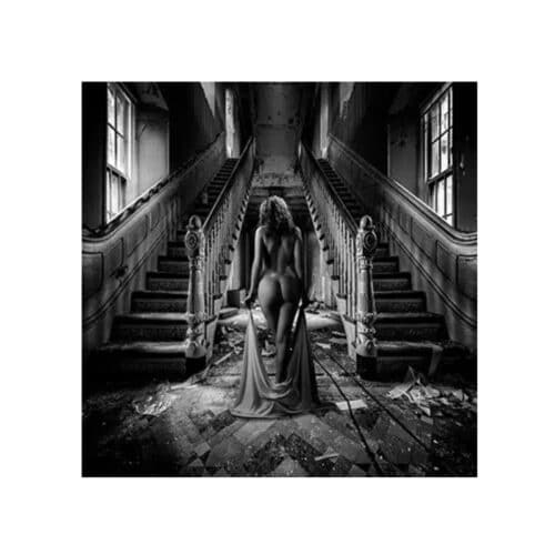 Cobra art Tavla Plexiglas - Sweet memory