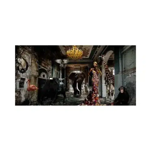 Cobra art Tavla Plexiglas - Animal afternoon