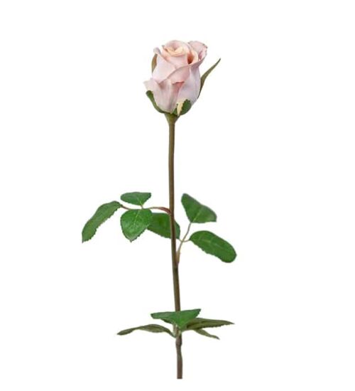 Ros 50 cm lila