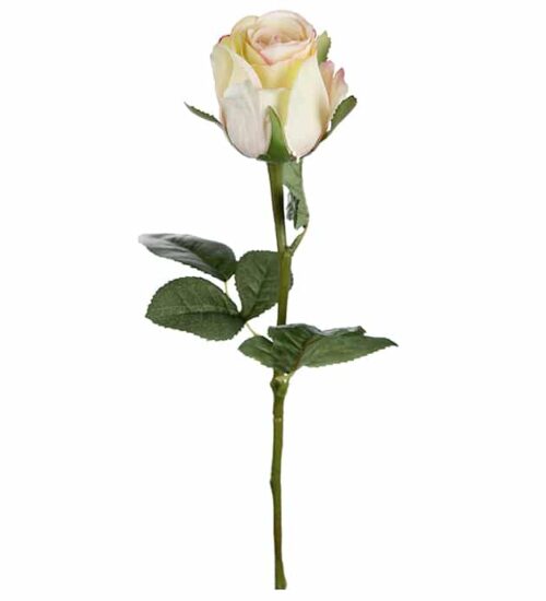 Ros 50 cm gul