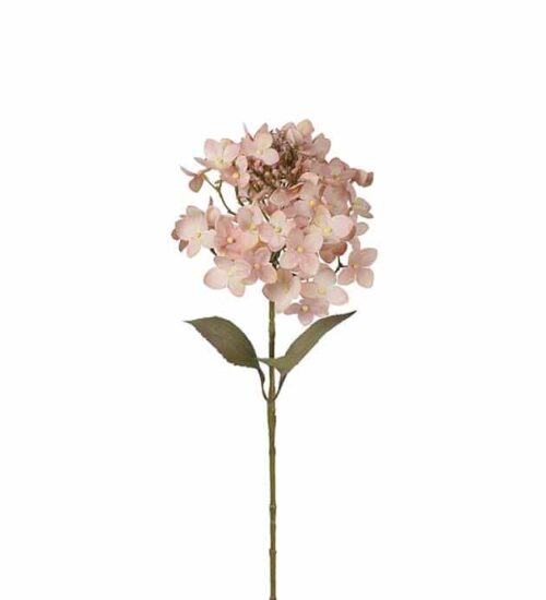 Hortensia 65 cm rosa