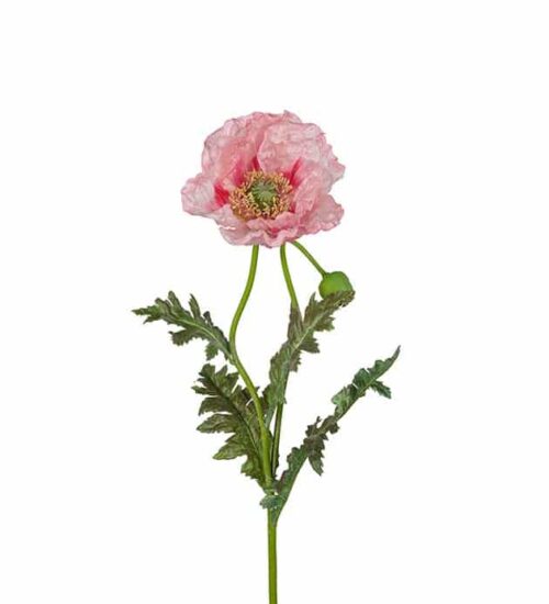 Vallmo rosa 100cm