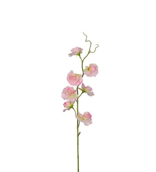 Luktärt 55cm rosa