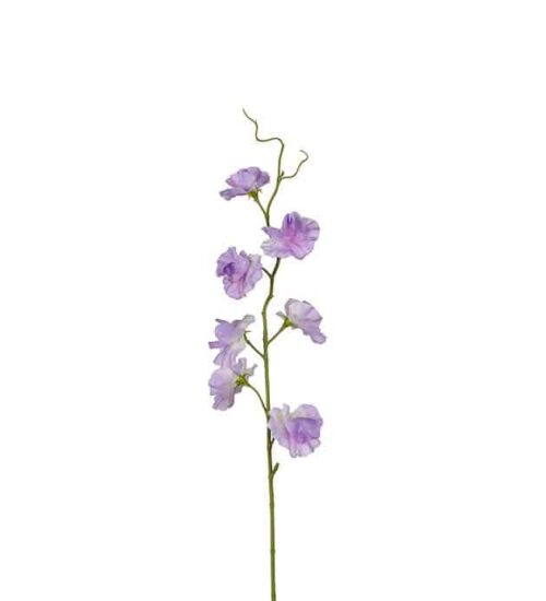 Luktärt 55cm lila