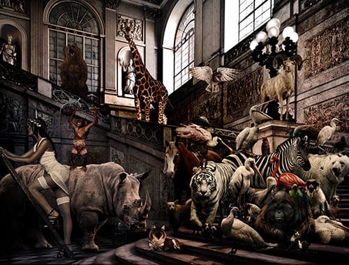 Cobra Art Tavla Plexiglas City jungle