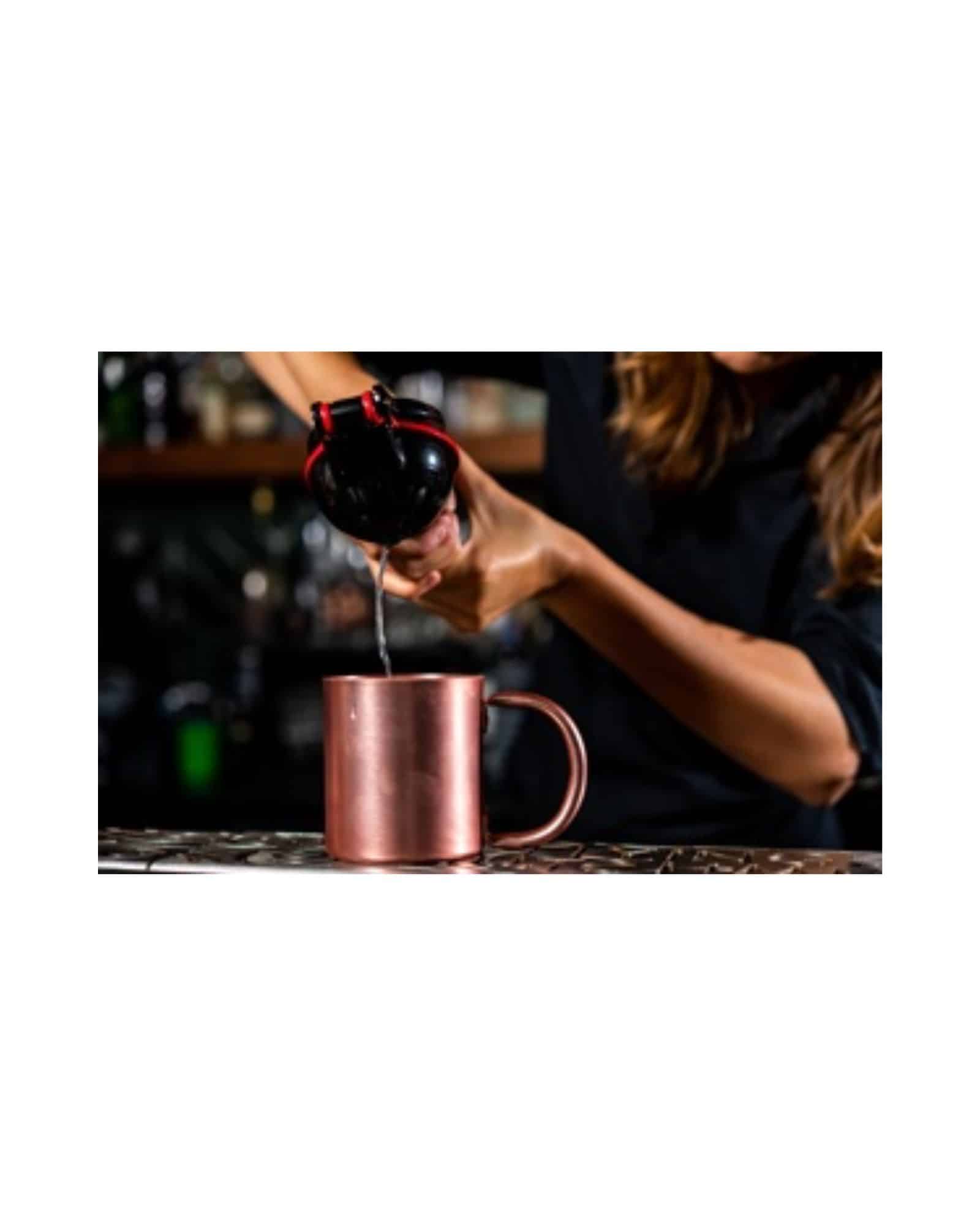 Lemon & Lime Squeezer – Citruspress i metall