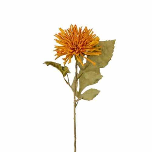Chrysanthemum orange 60cm
