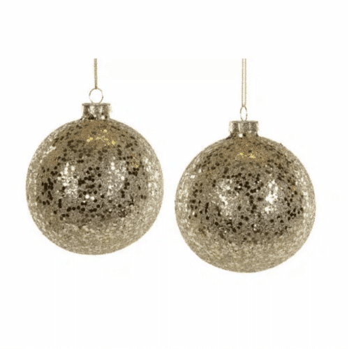 Glaskula Queen Champ