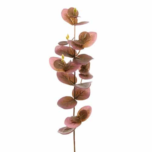 Eucalyptus 40 cm lila
