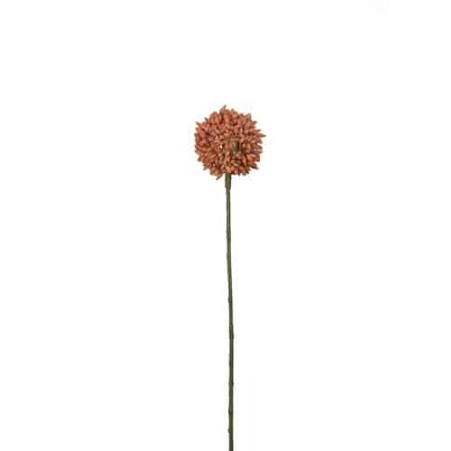 Allium 48 cm orange