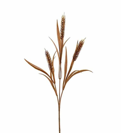 Vete Brun 65 cm