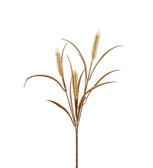 Vete Beige 65 cm