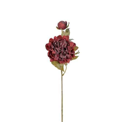 Pion 45cm Burgundy