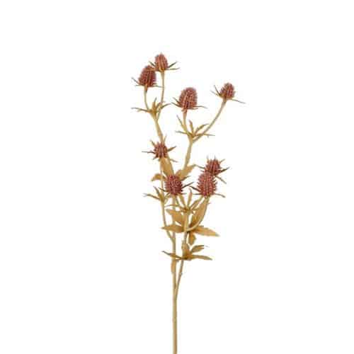 Tistel 50cm rosa