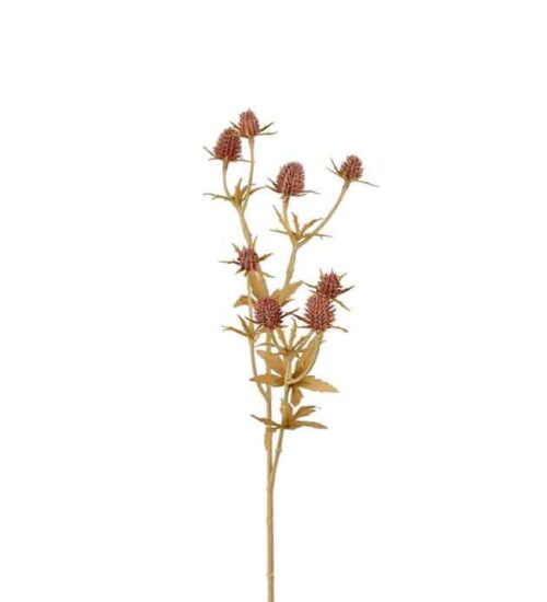 Tistel 50cm rosa