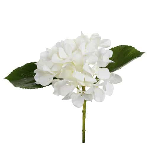 Hortensia 25 cm vit