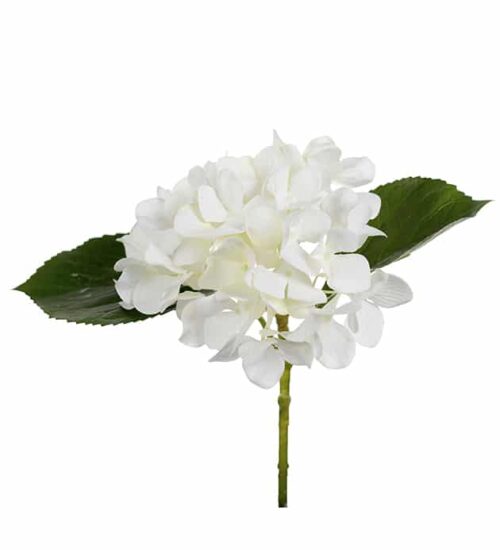 Hortensia 25 cm vit