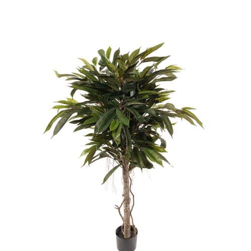 Longifolia 150cm grön