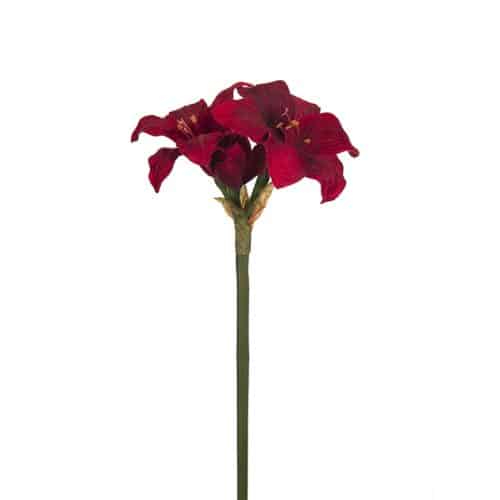 Amaryllis 35cm röd