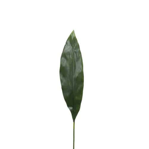 Aspidistra blad 75 cm grön
