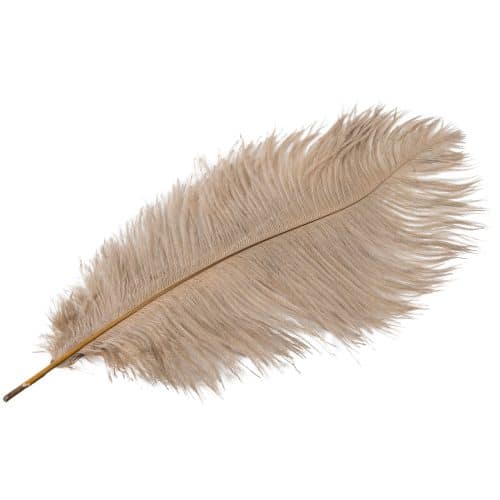 Strutsfjäder Mullvad