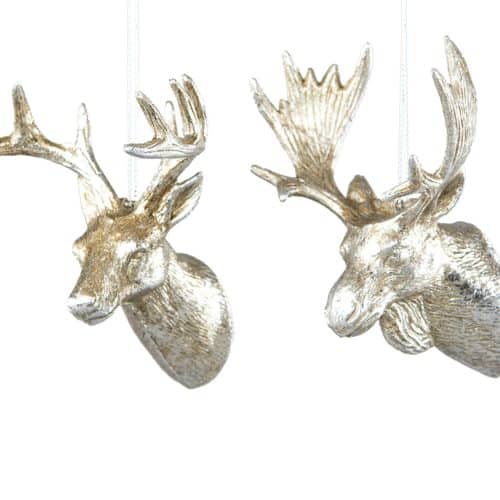 Hjort/Älghuvud Häng Champagne