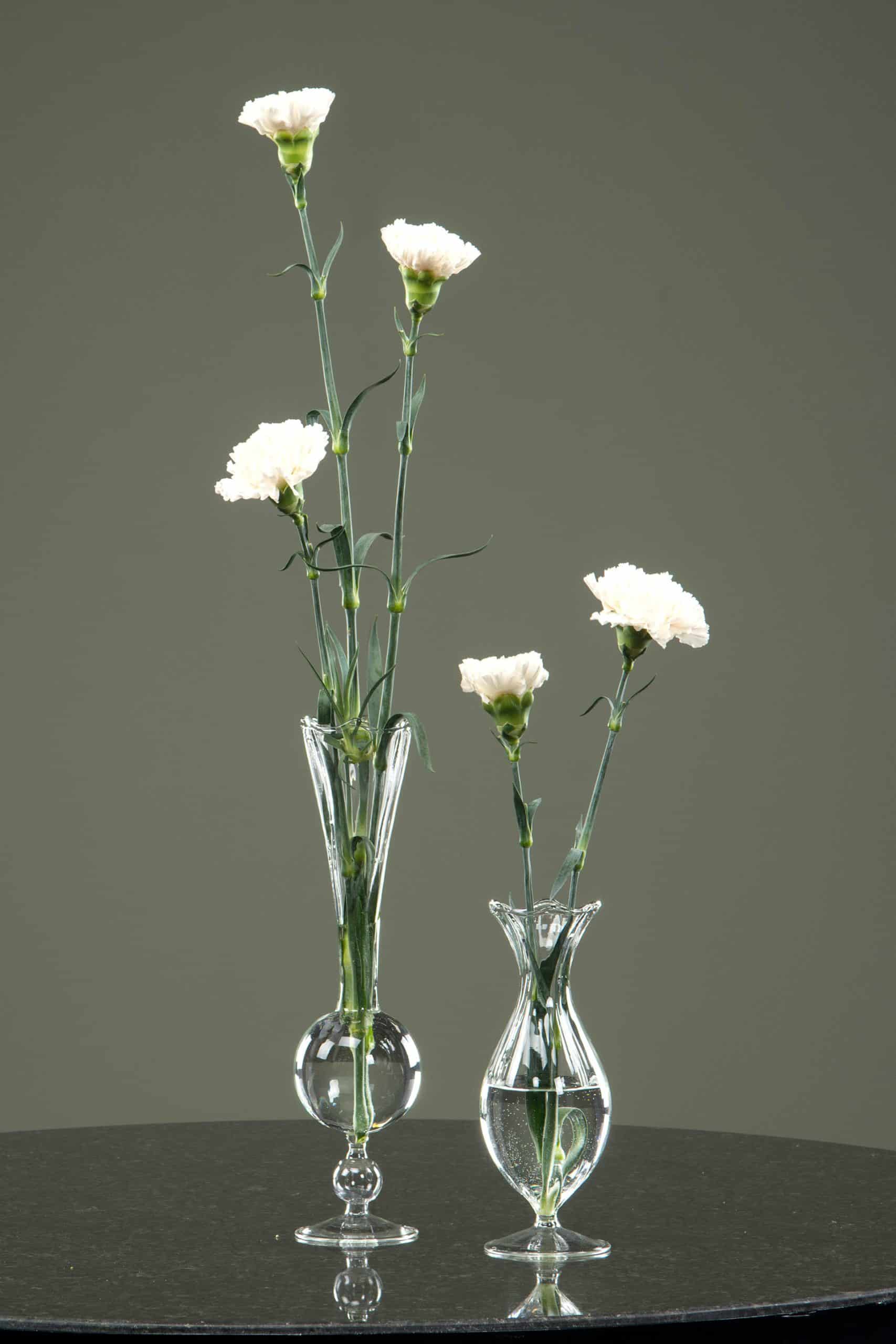 Vas Vouge Klar Stor - Bild 2