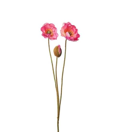 Vallmo 75cm Rosa