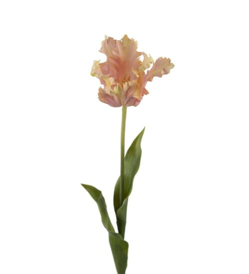Tulpan Rosa 70cm