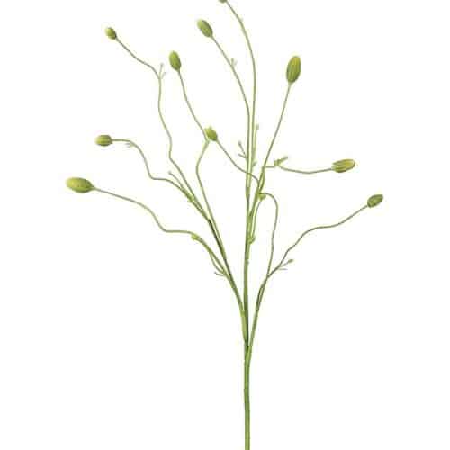 Pimpinell grön 80cm