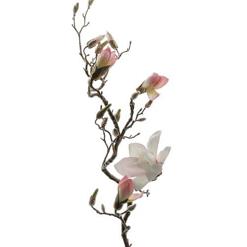 Magnolia Rosa 135cm