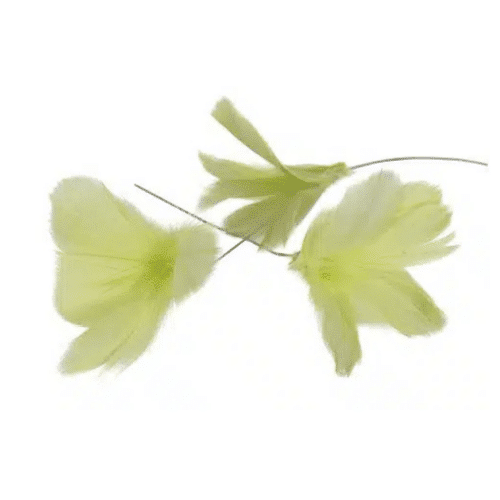 Fjäder Trådad Blom Lime 12st