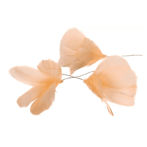 Fjäder Trådad Blom Ljus Aprikos 12st