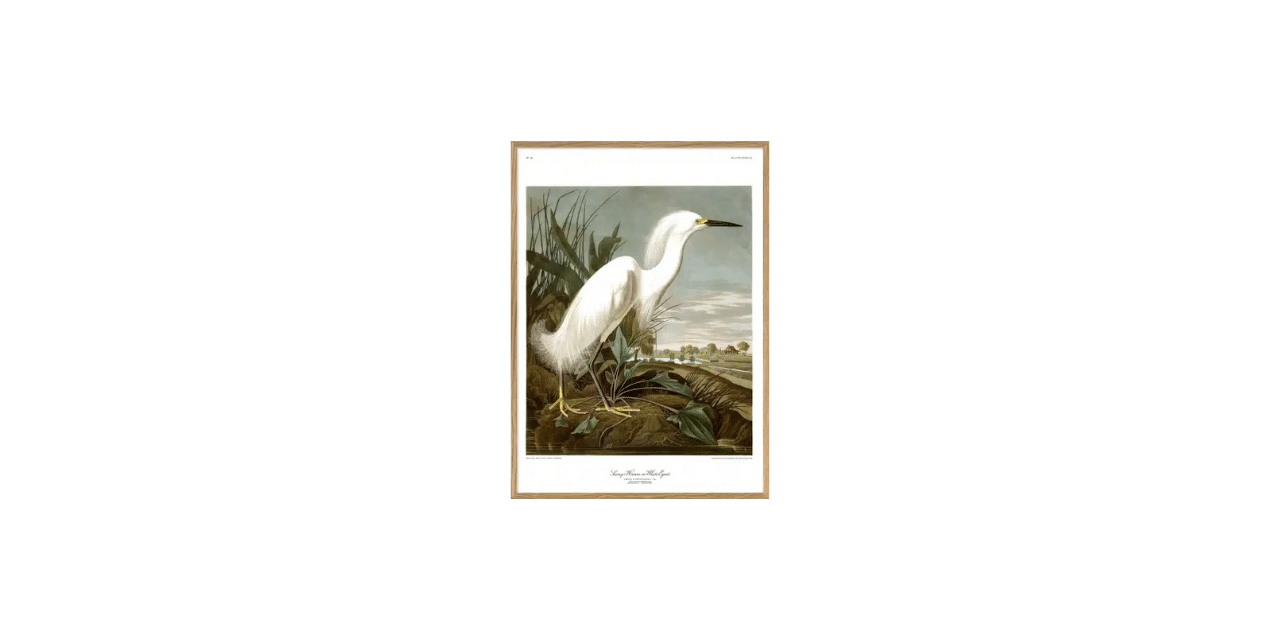 THE DYBDAHL CO Tavla Snowy Heron 50x70cm Ek ram