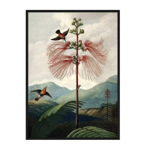 THE DYBDAHL COMPANY The Tree Of Flowers 50x70 Svart Ram
