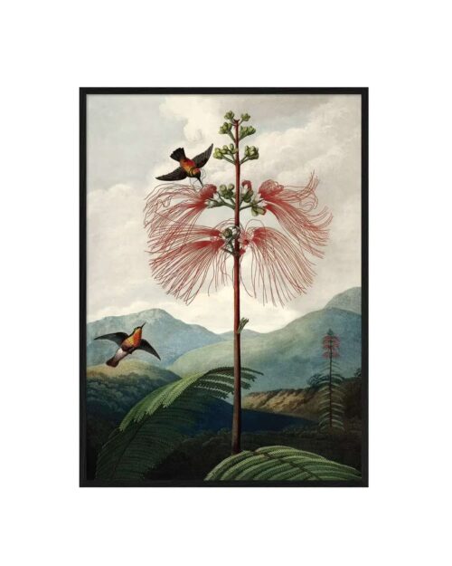 THE DYBDAHL COMPANY The Tree Of Flowers 50x70 Svart Ram