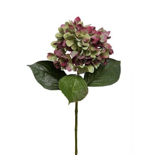 Hortensia 65cm Röd