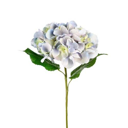 Hortensia 55 cm Blå