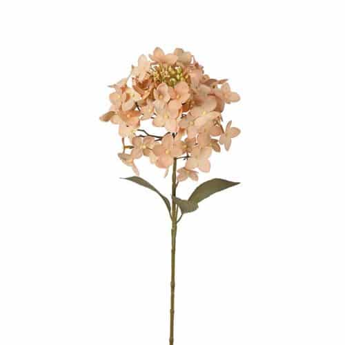 Hortensia 65cm Beige