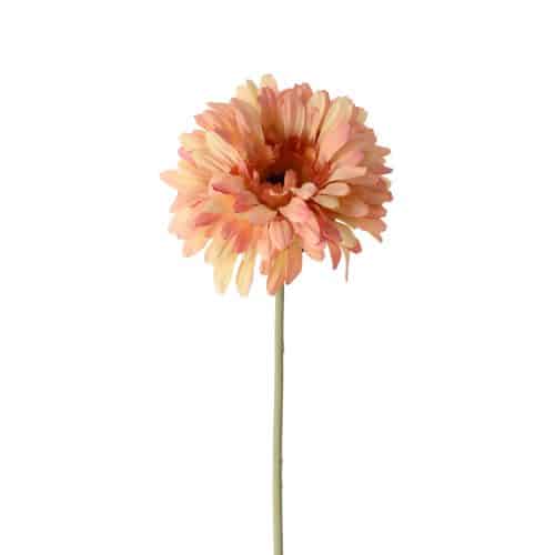 Gerbera orange 55cm