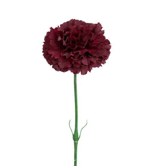 Nejlika Vinröd 55cm