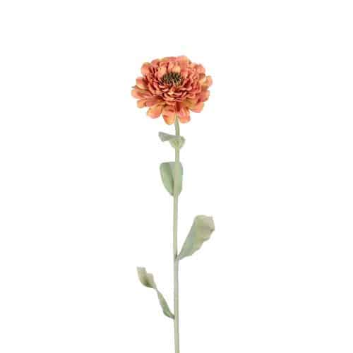Zinnia Orange 58cm