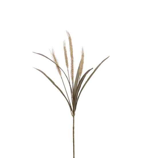 Vetekvist Beige 65cm