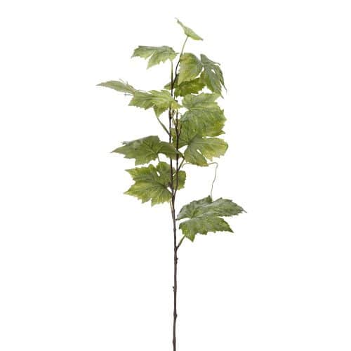 Vinbärskvist Grön 75cm