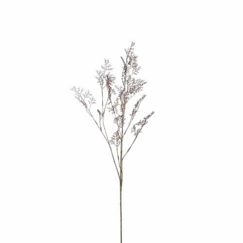 Limoniumkvist Brun 100cm