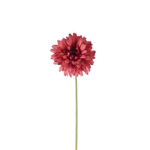 Gerbera Röd 55cm