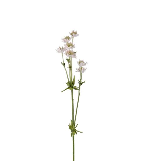 Stjärnflocka Grön 55cm