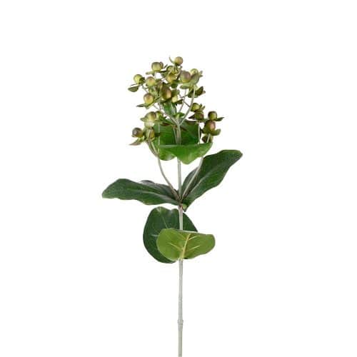 Hypericum Grön 68cm