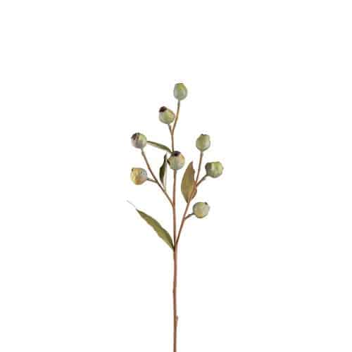 Eucalyptuskvist Med Bär Grön 65cm