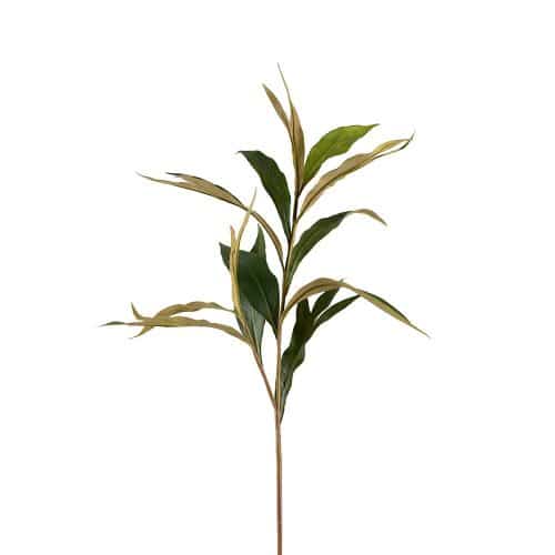 Grevilleakvist Grön 85cm